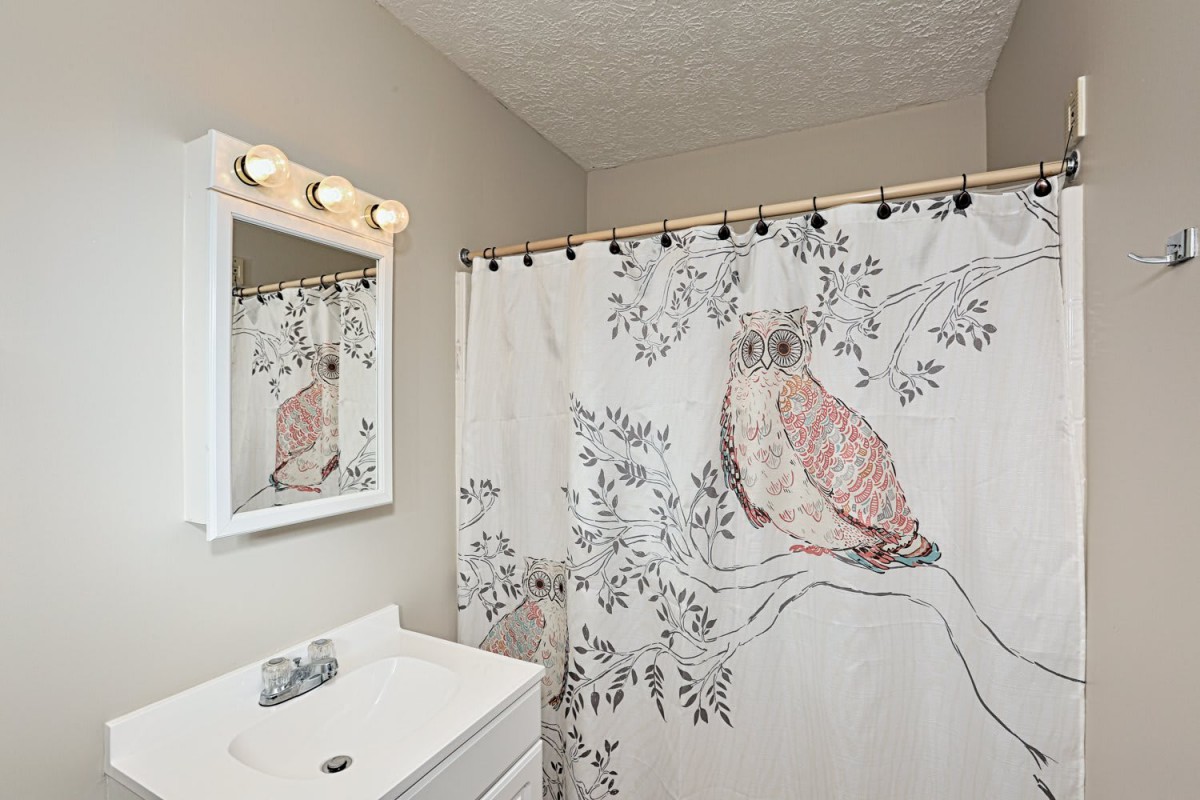 A bathroom featuring a shower curtain with an owl design, a mirror above the sink, and a light fixture.