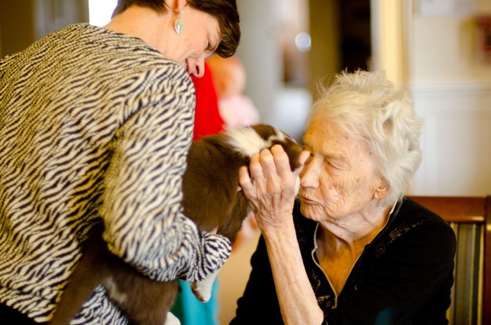 An elderly woman shares a tender moment with a dog, highlighting the comforting bond between humans and pets.