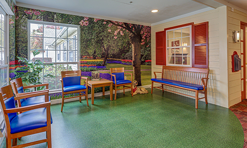 A cozy waiting room with colorful murals and wooden seating.