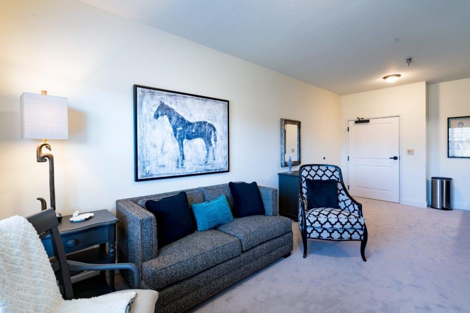 A modern living room with a grey sofa, patterned armchair, and horse artwork.