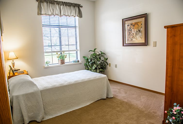 A minimalist bedroom with a single bed, window, and indoor plant.