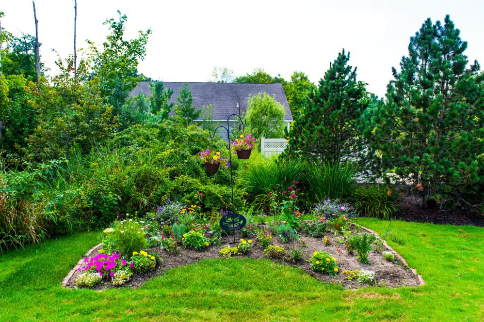 A vibrant garden with various flowers and plants in a lush, green outdoor setting.