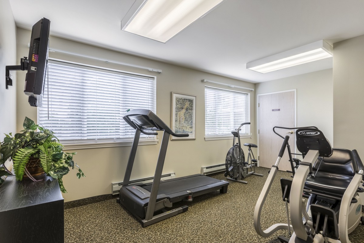 A small gym room with a treadmill and exercise bike next to bright windows.