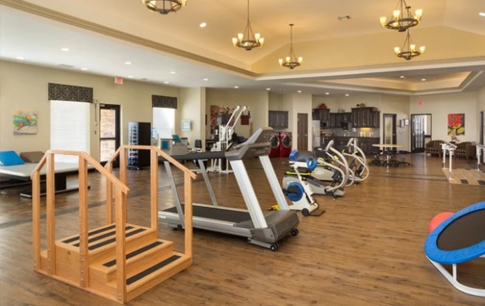 A modern gym equipped with various exercise machines, including treadmills and ellipticals.