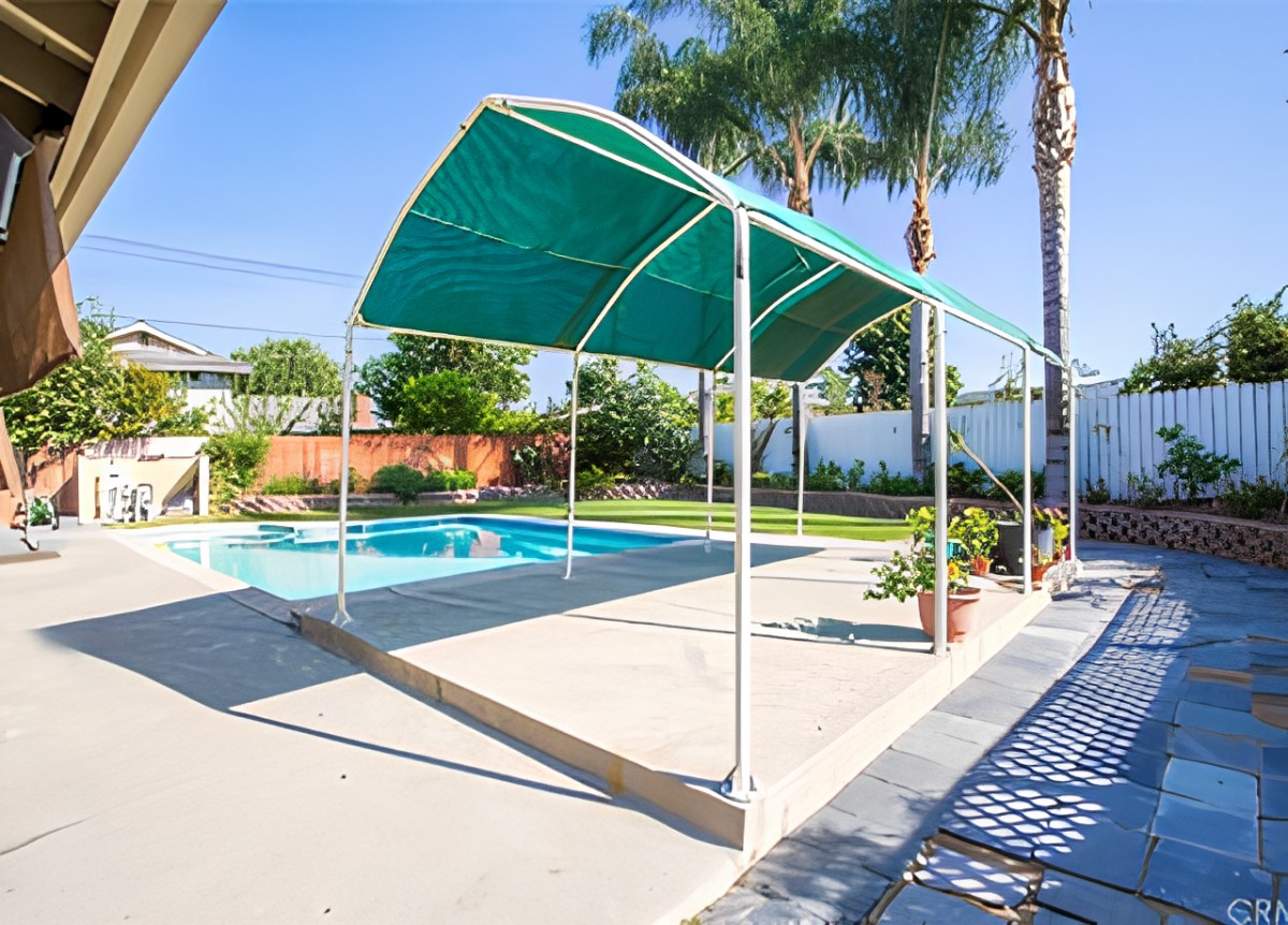 A sunny backyard with a swimming pool and a green canopy providing shade.