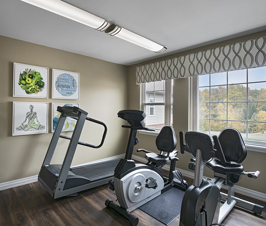 A small home gym with a treadmill and stationary bike, featuring natural light from large windows.