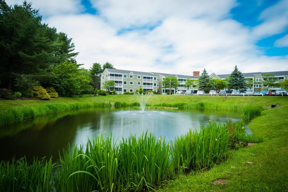 A serene landscape featuring a pond with a fountain, surrounded by greenery and overlooked by a multi-story building.