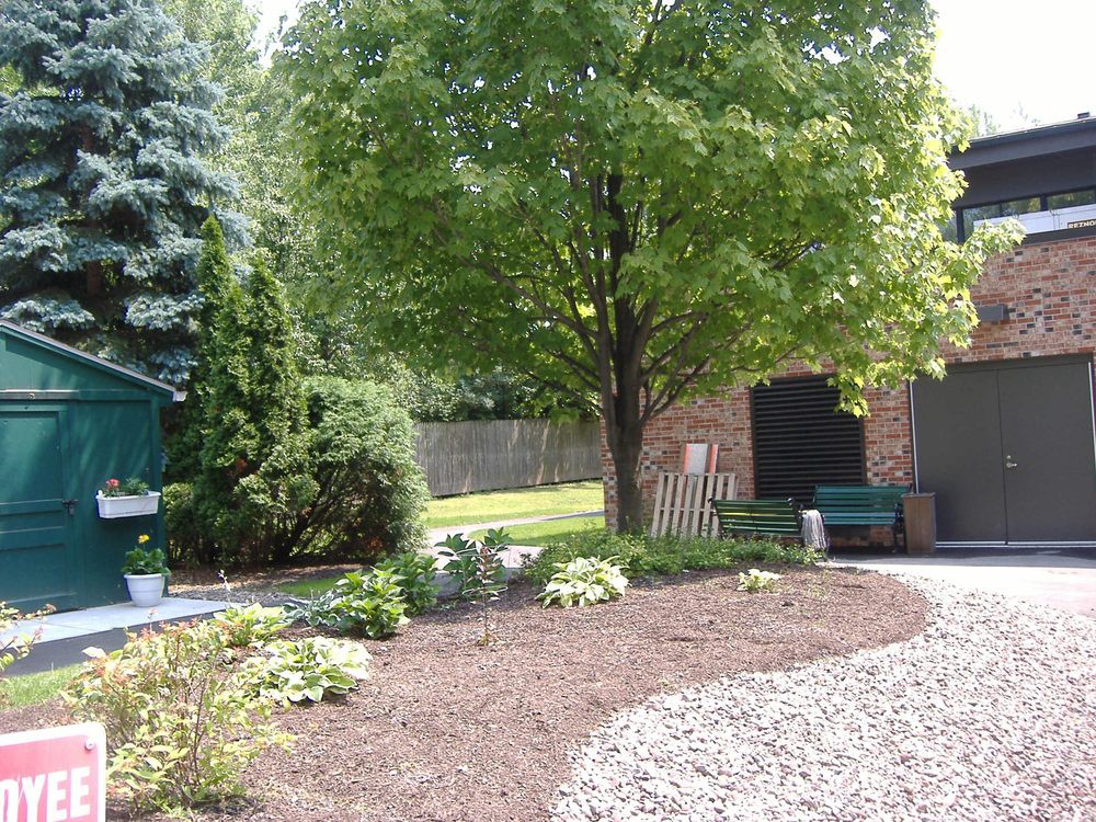 A tranquil garden scene featuring a tree, landscaped plants, and a mulch path.
