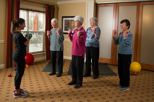 A group of seniors participating in an exercise class, promoting fitness and wellness.