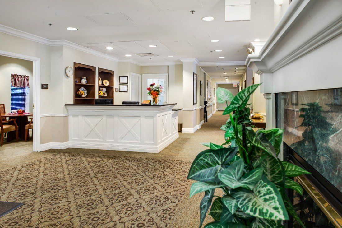 A welcoming reception area with a desk, plant, and decorative elements.