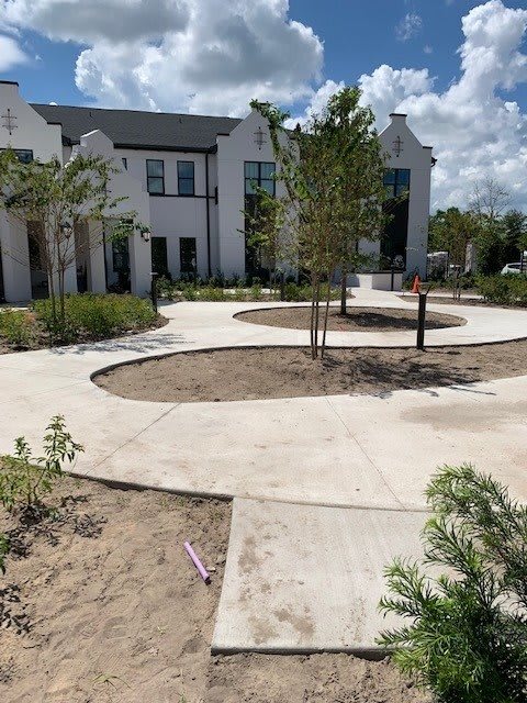 A modern residential area with a paved walkway and newly planted trees under a cloudy sky.