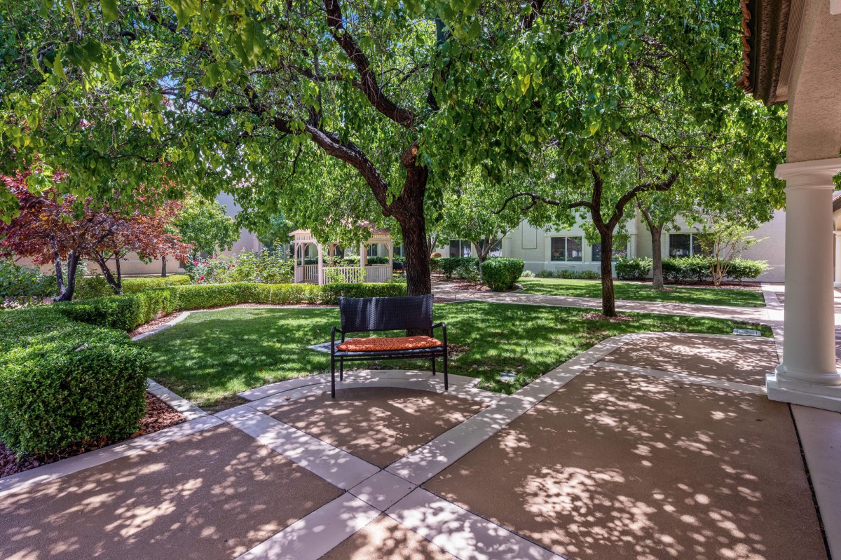 A peaceful park setting with a bench under the shade of trees.