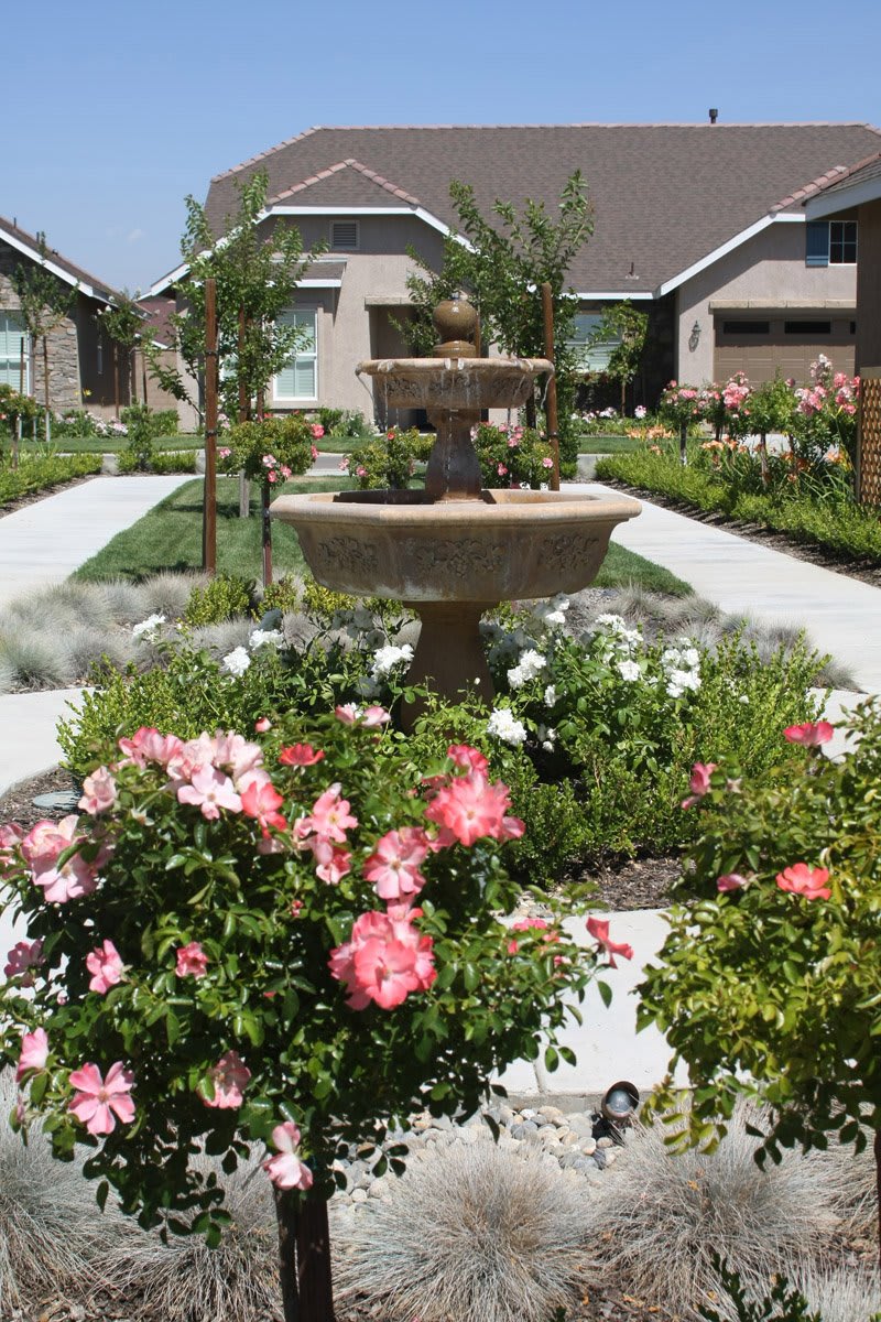 A beautifully landscaped garden with a central fountain surrounded by vibrant flowers and pathways in a residential area.
