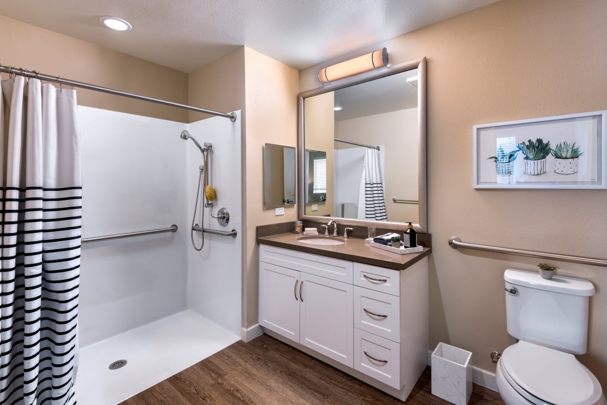 A modern, accessible bathroom with a walk-in shower and grab bars.