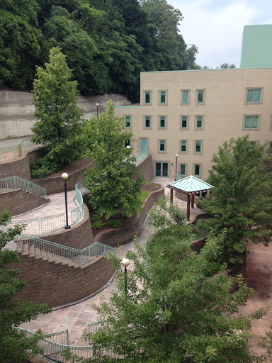 A serene urban pathway surrounded by trees and modern architecture.