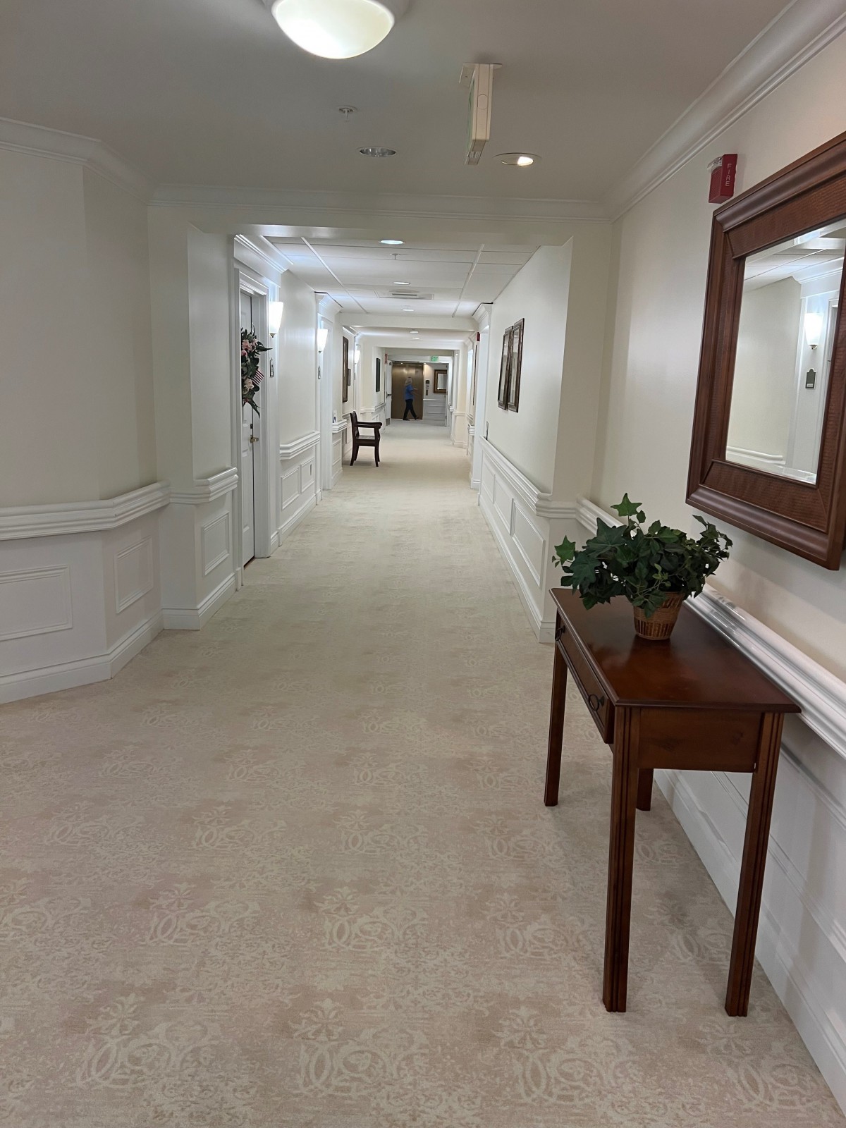 A well-lit hallway with a mirror, table, and decorative plants along the side.