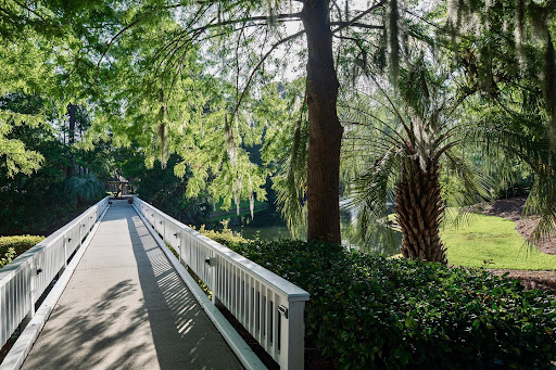 A peaceful pathway surrounded by lush greenery and tall trees.