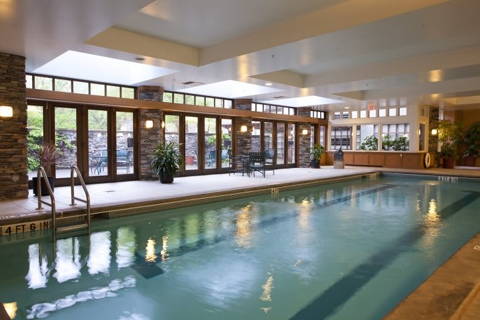 A serene indoor swimming pool with large windows and elegant decor.