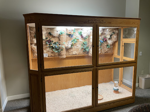 A beautifully designed wooden terrarium with plants and proper lighting, perfect for housing reptiles or other small animals.