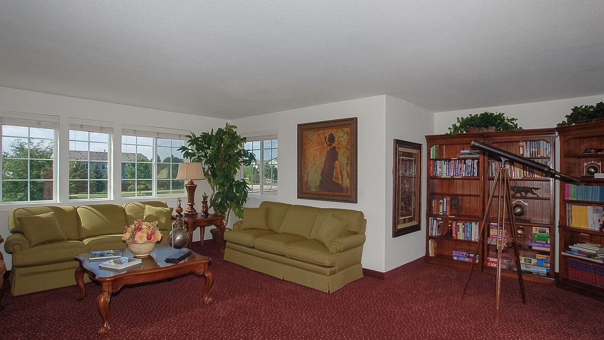 A cozy living room with a green sofa, bookshelves, and a large indoor plant near the window.