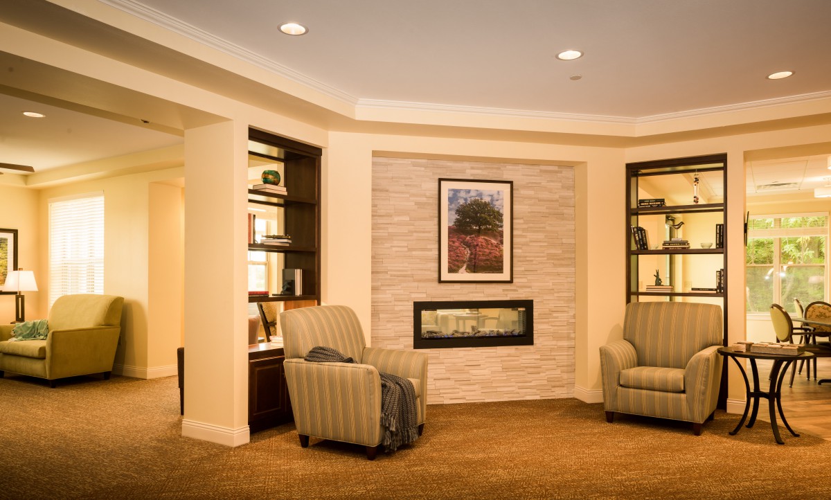A cozy living room with a modern fireplace, flanked by bookshelves and comfortable armchairs.