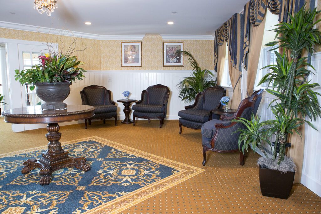 A cozy living room featuring elegant chairs, plants, and a decorative rug.
