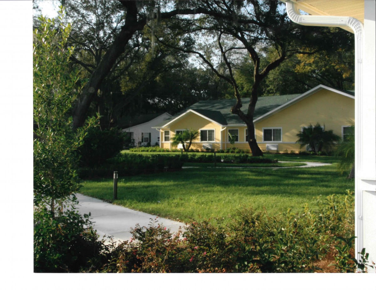 A yellow house surrounded by lush greenery and trees with a driveway leading up to it.