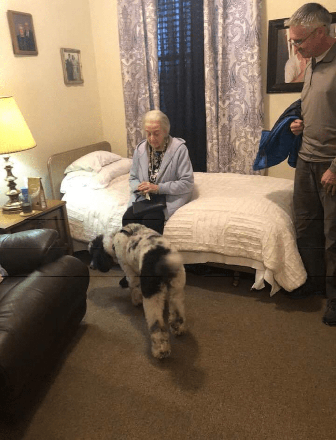 An elderly person sitting on a bed with a dog nearby in a cozy bedroom.