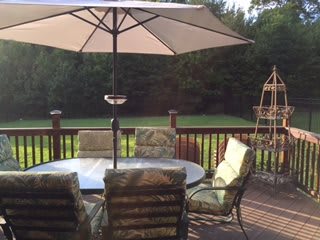 A sunny backyard patio with a table, chairs, and an umbrella.