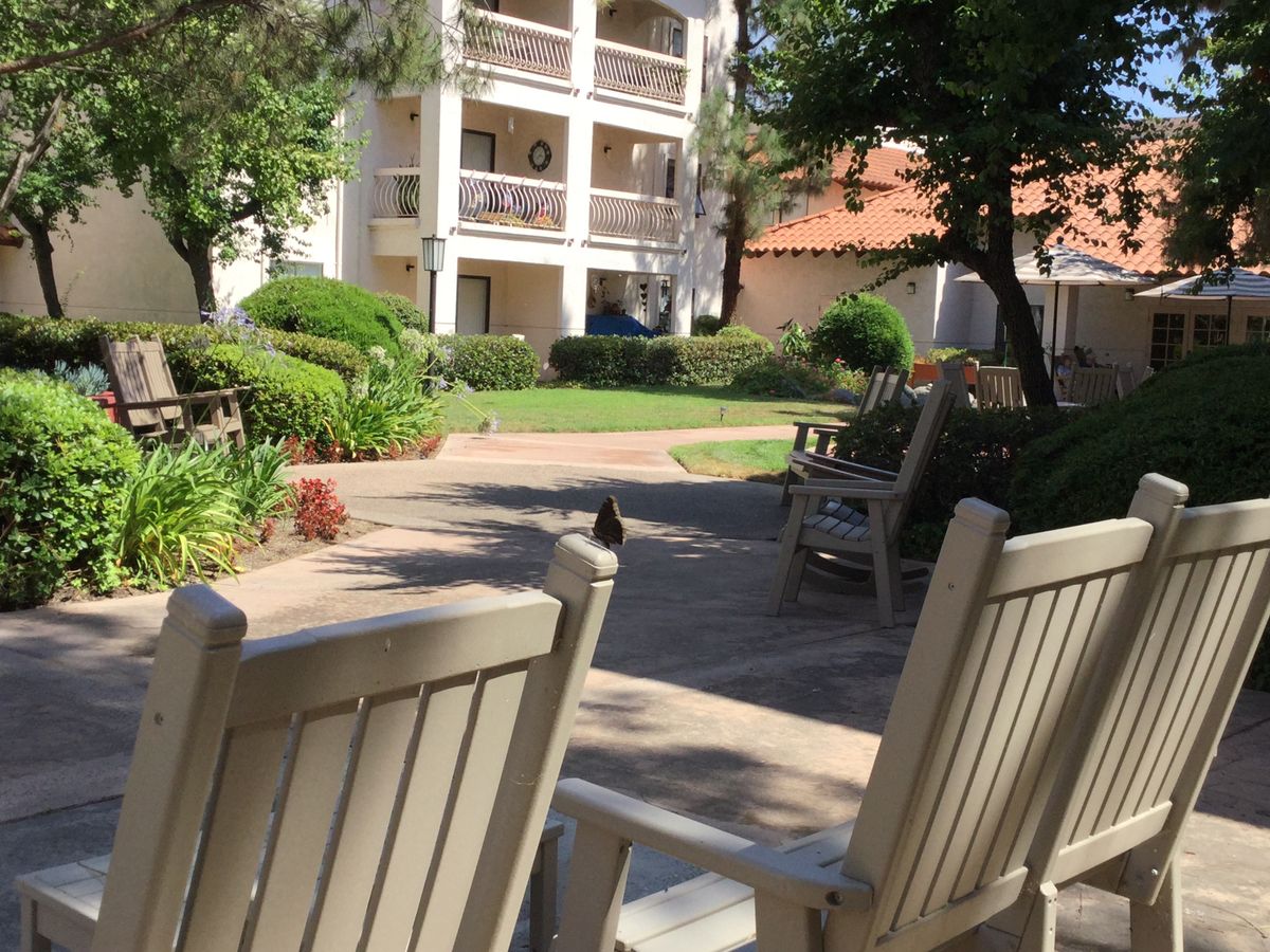 A peaceful outdoor garden with chairs and a building in the background on a sunny day.