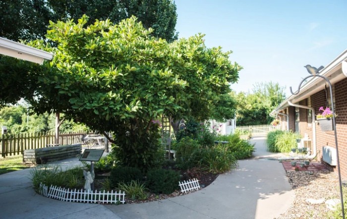 A tranquil garden featuring a lush tree and a winding pathway.