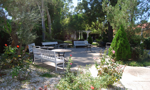 A serene garden space featuring benches and lush greenery, ideal for relaxation and enjoyment of nature.