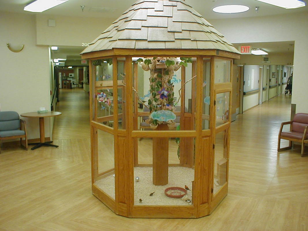 A wooden indoor birdcage with glass panes, housing various birds.