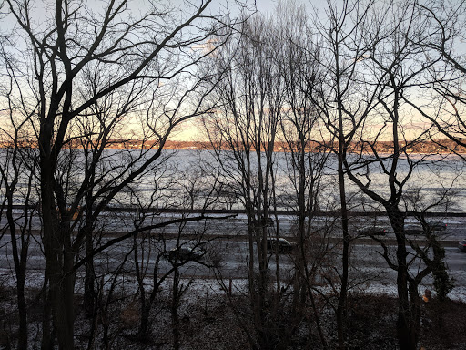 A serene view of sunset over a body of water, framed by silhouetted trees.