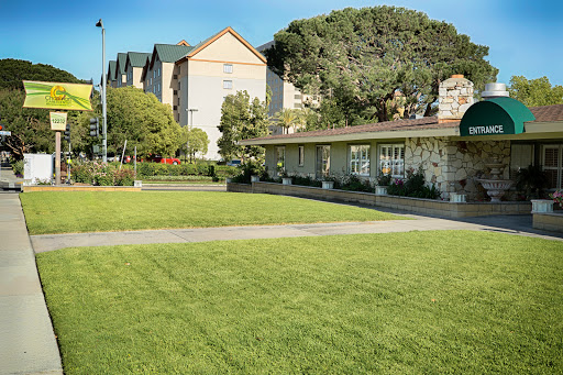 A serene outdoor space featuring a well-maintained lawn and buildings in the background.