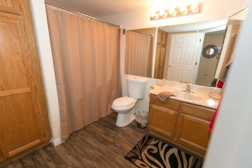 A well-organized bathroom with a shower curtain, toilet, vanity with sink, and a large mirror.