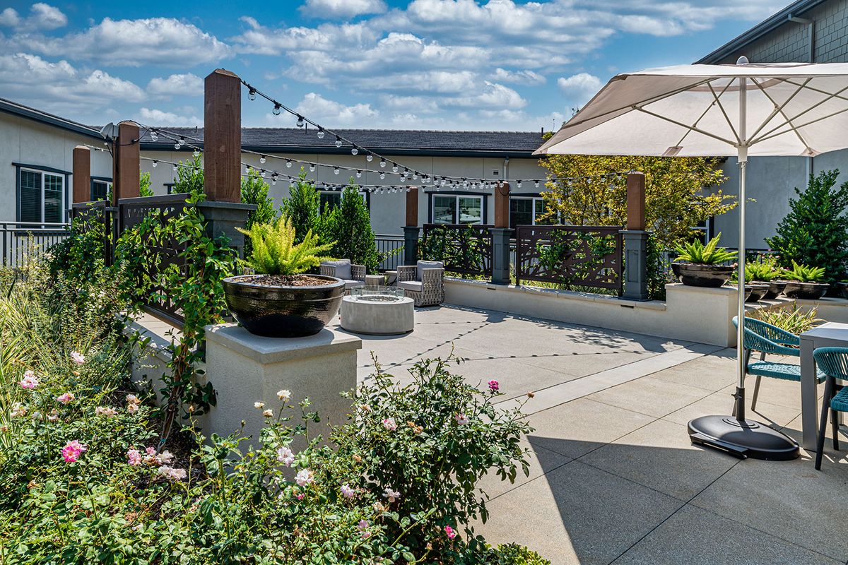 A beautiful outdoor patio with plants and seating under a sunny sky.