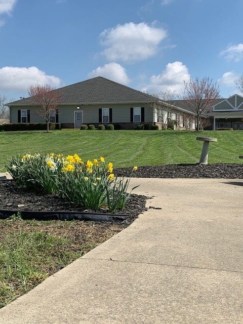 A suburban house with a neatly manicured lawn and blooming daffodils on a sunny spring day.