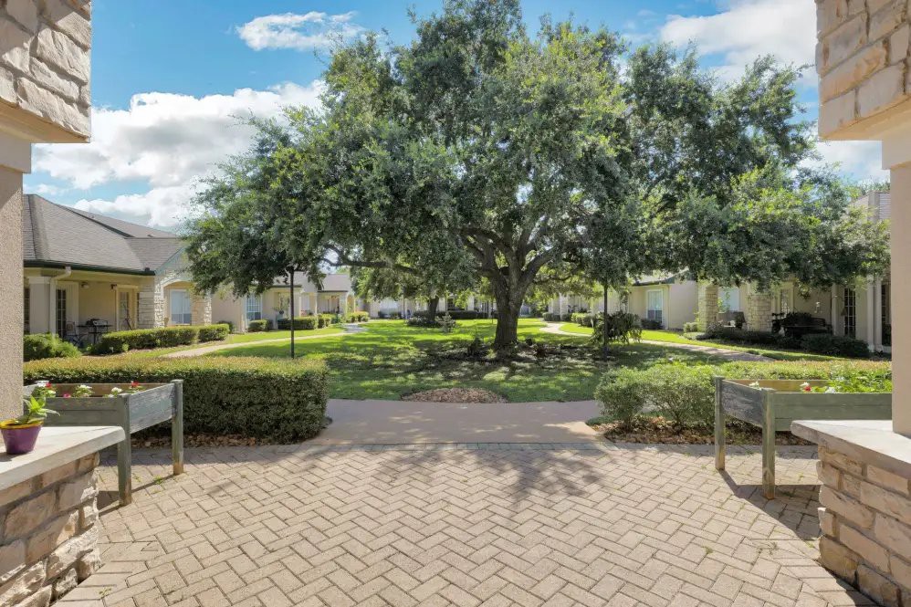 A peaceful courtyard featuring a large tree surrounded by benches and pathways.