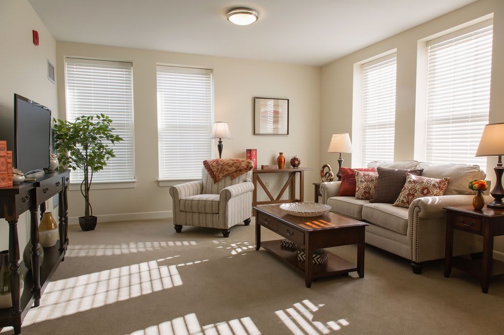 A cozy living room with a comfortable sofa, armchair, coffee table, and decorative elements.