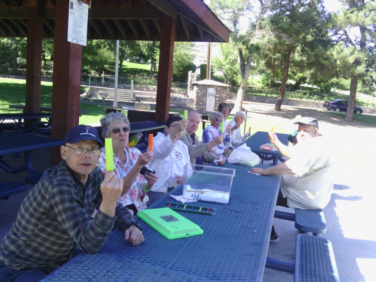 A group of people enjoying a sunny day at a picnic table in the park.