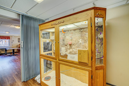 A beautifully crafted wooden display cabinet featuring glass panels, suitable for showcasing artifacts or collectibles.