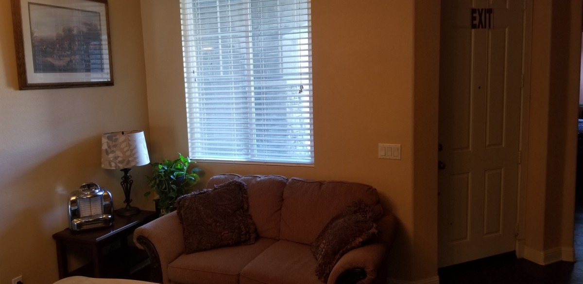 A cozy living room with a small sofa, cushions, and an indoor plant near a window with blinds.