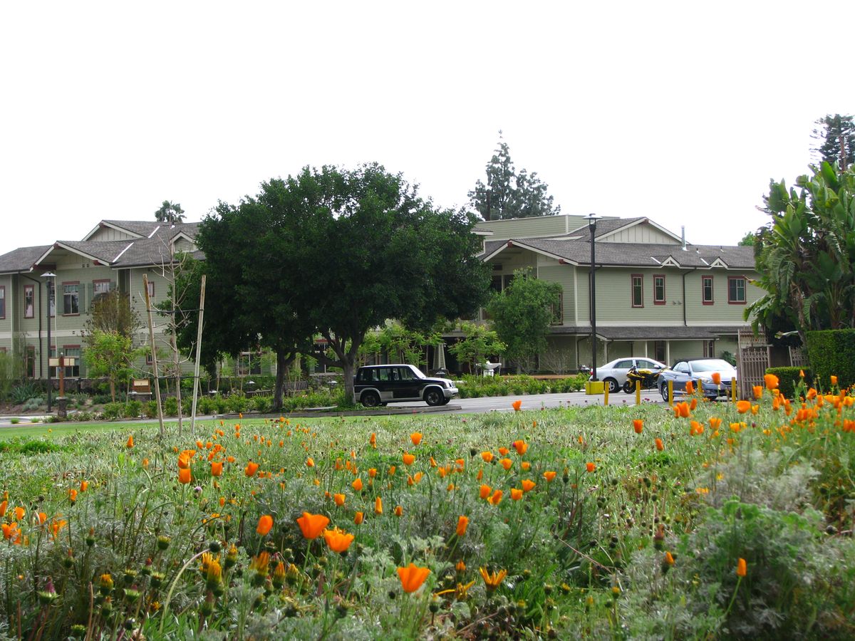 A scenic view of a suburban neighborhood with a garden full of flowers in the foreground.