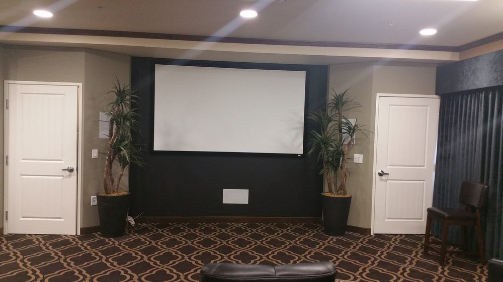 A cozy home theater setup with a projector screen, surrounded by decorative plants and patterned carpet.