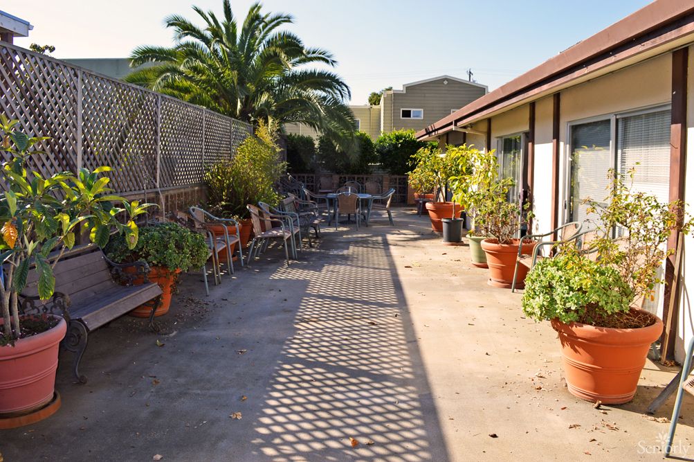 A sunny courtyard with benches and potted plants lining a walkway.