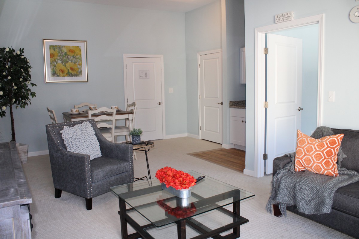 A modern living room with stylish furniture and decorative elements.