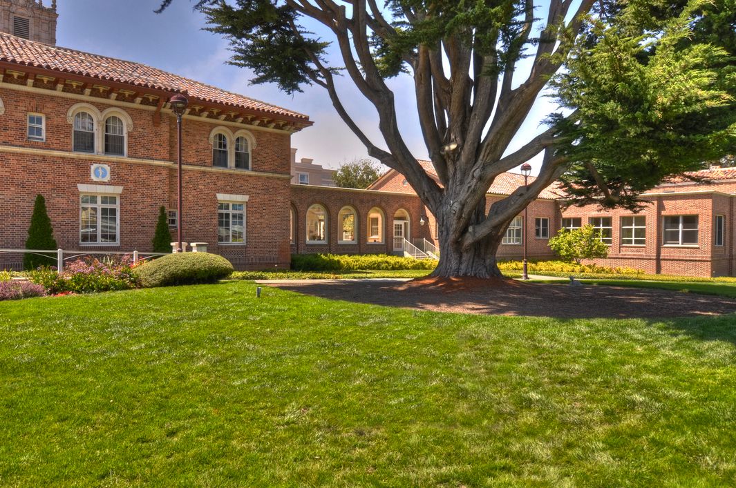 A scenic view of a brick building surrounded by lush greenery and a large tree on a sunny day.