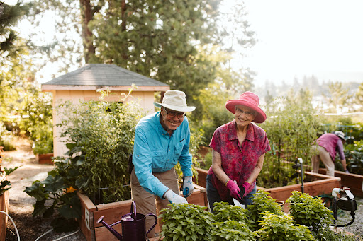 Two individuals joyfully tending to their garden, surrounded by vibrant plants.