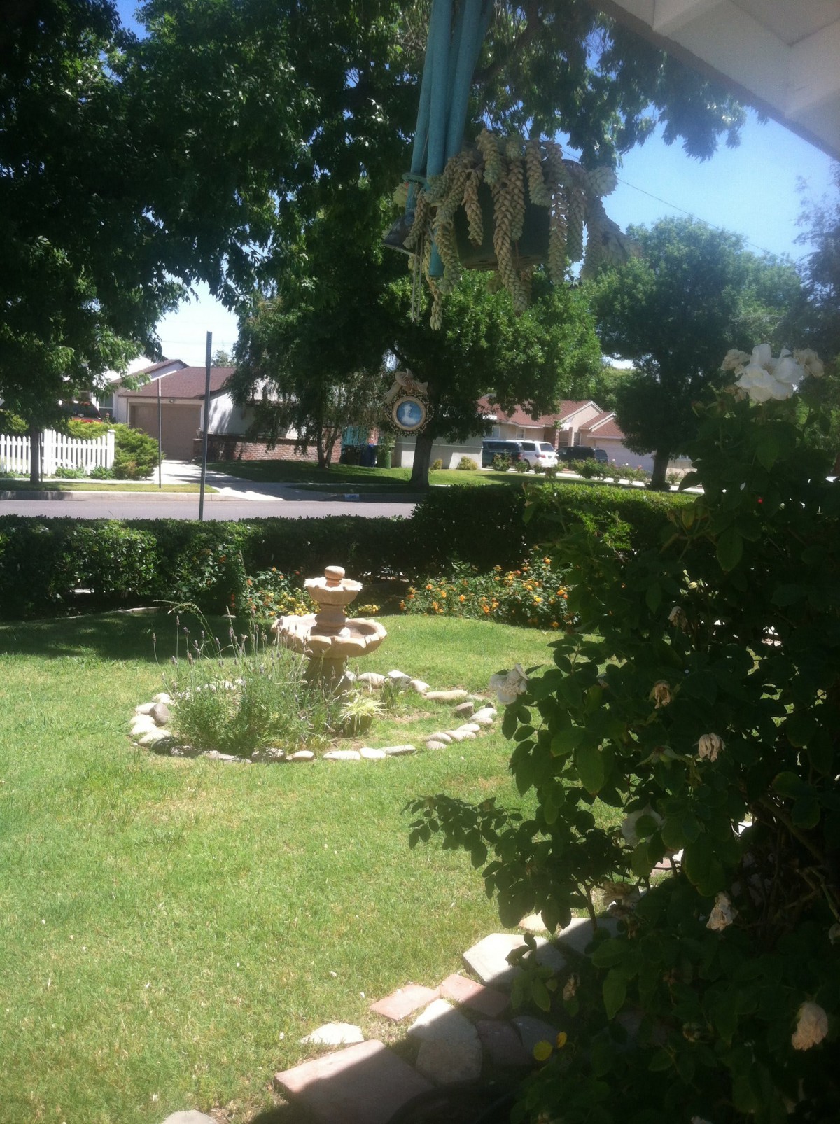 A peaceful garden with a central fountain surrounded by lush greenery.